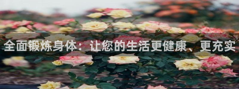 3377体育是正规的吗