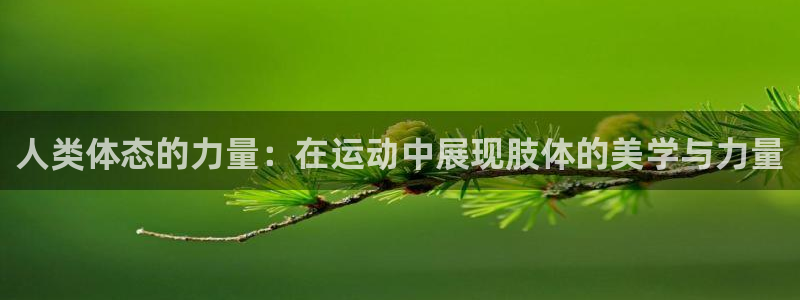 3377体育官网入口下载最新