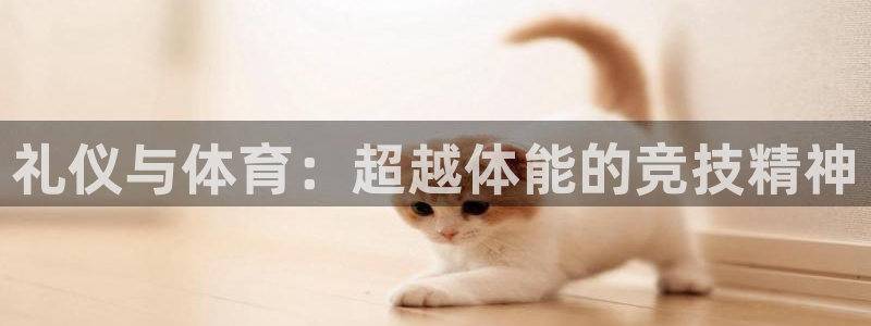 3377体育官网入口网页版