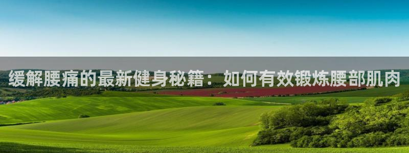 3377体育官网