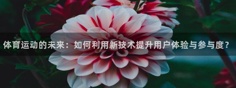 3377体育是正规的吗