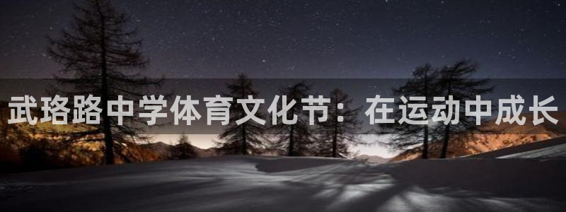 3377体育是正规平台吗