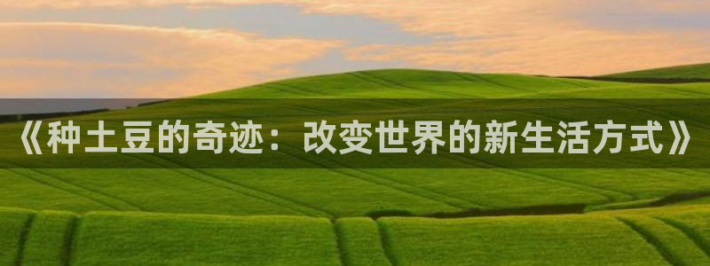 3377体育app登录入口