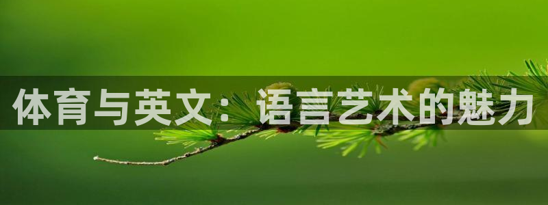 3377体育官网入口下载最新