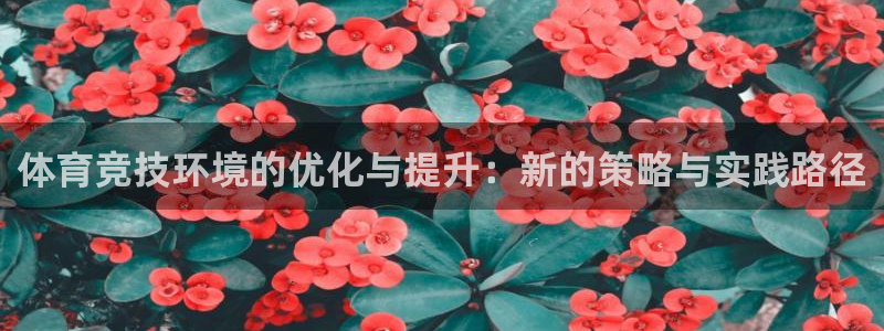 3377体育官网入口网页版