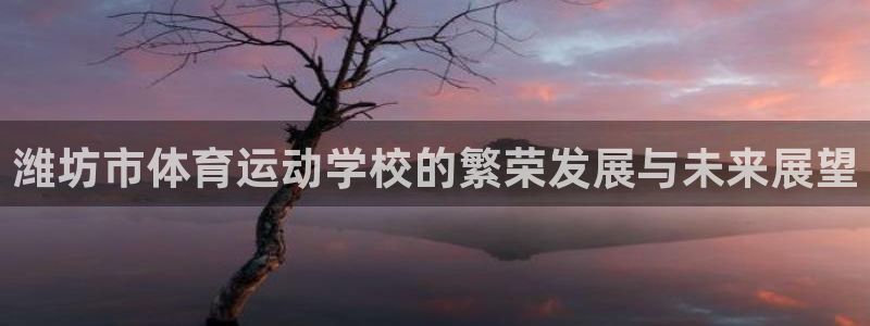 3377体育网页登录入口