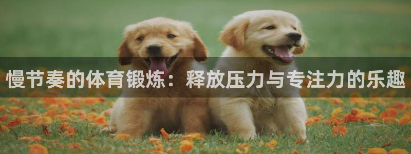 3377体育官网下载