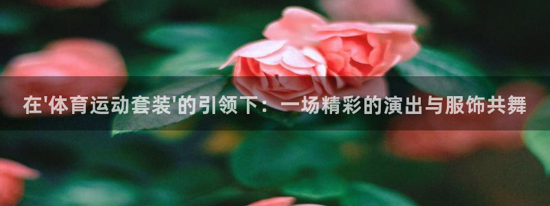 3377体育在线
