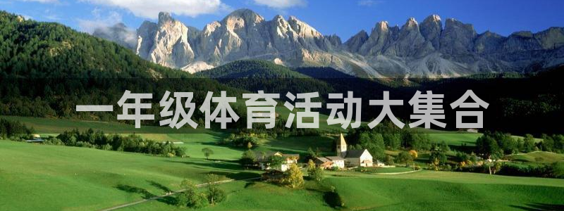 3377体育中国官方网站入口