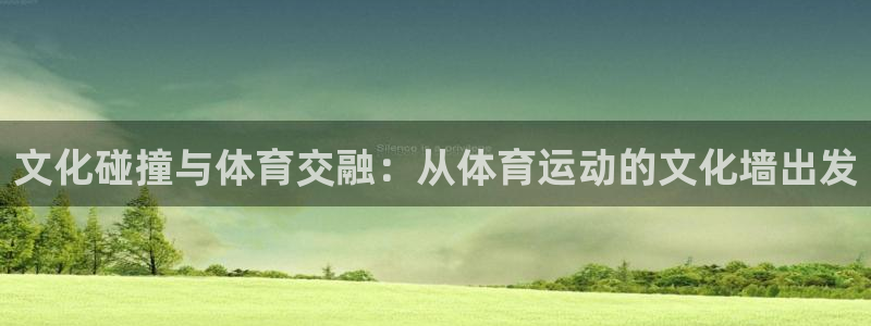 3377体育网页登录入口