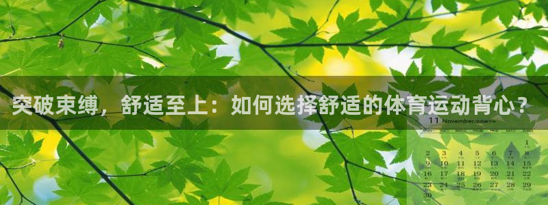 3377体育官网入口网页版