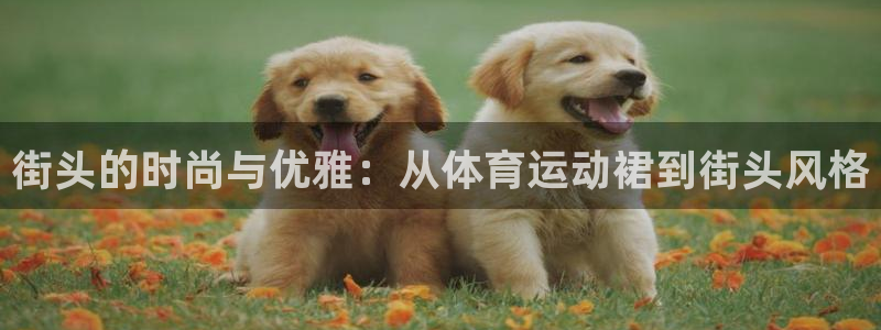 3377体育官网下载