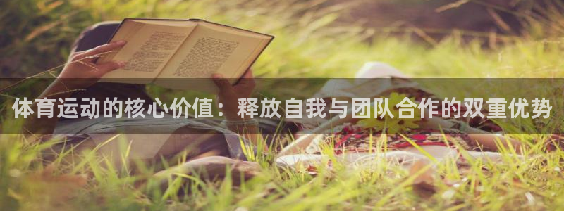3377体育app登录入口