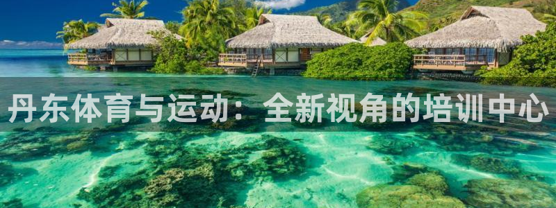 3377体育官网入口下载最新