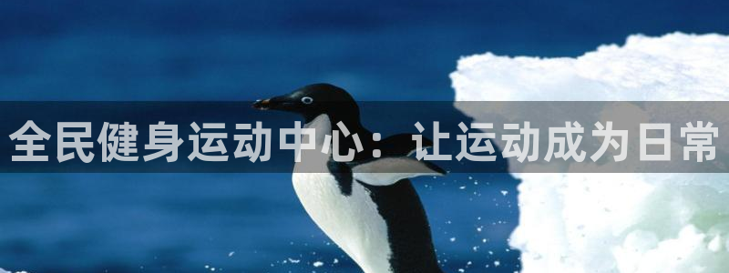 3377体育全网