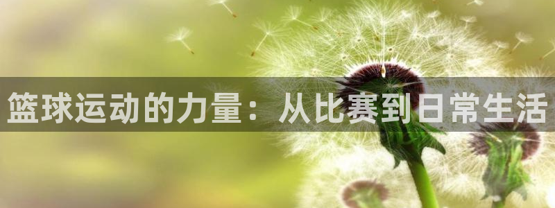 3377体育app官方下载